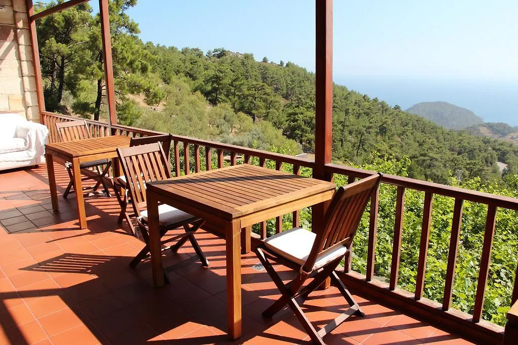 B&B Villa Vino 메수디에 터키