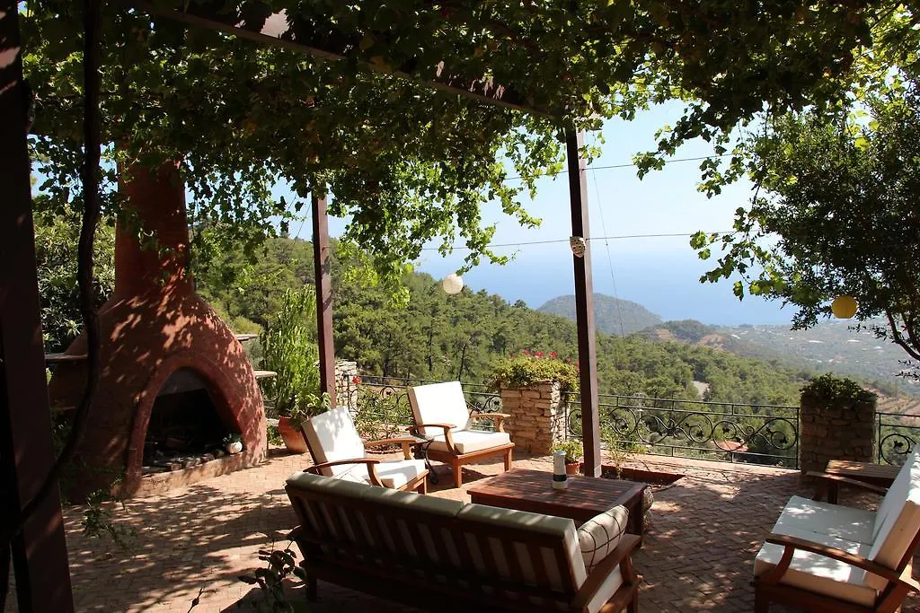 Villa Vino Mesudiye  Turkey